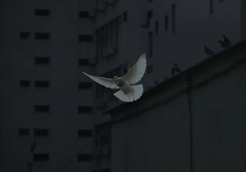 White Dove flying off of a building ledge